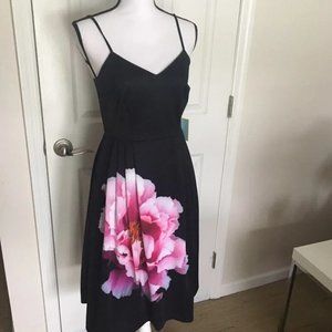 NWT Cece by Cynthia Steffe Leah Floral Flower A-Line Fit and Flare Pleated Dress